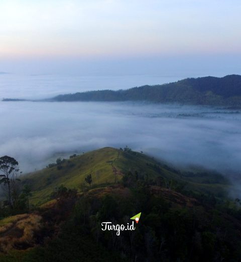 Gunung Mekongga, Puncak Tertinggi Sulawesi Tenggara